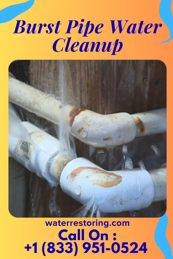 Burst Pipe Water Cleanup in Willard, OH