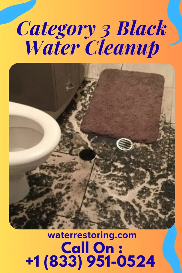 Category 3 Black Water Cleanup in Willard, OH