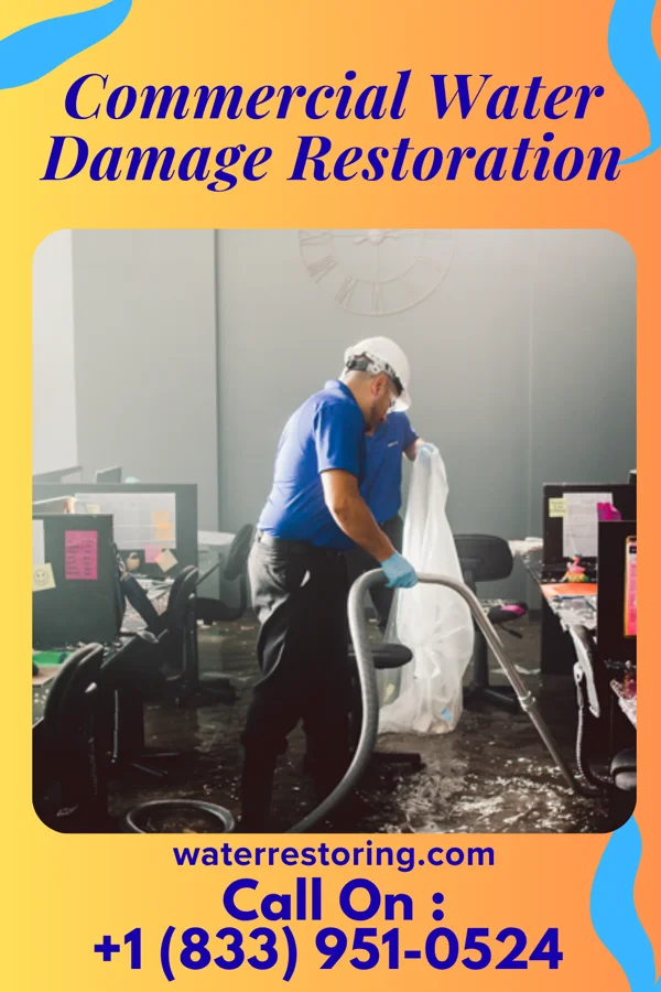 Commercial Water Damage Restoration in Willard, OH