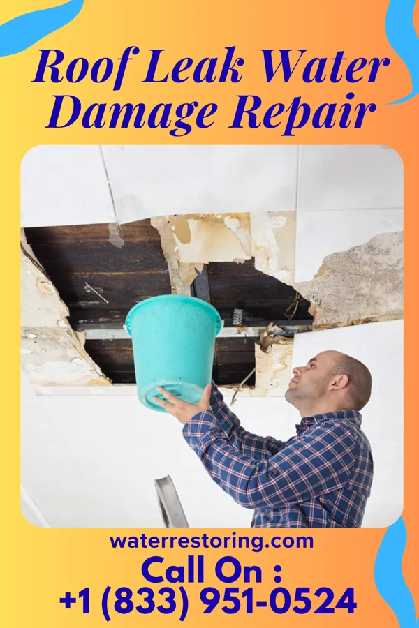 Roof Leak Water Damage Repair in Willard, OH