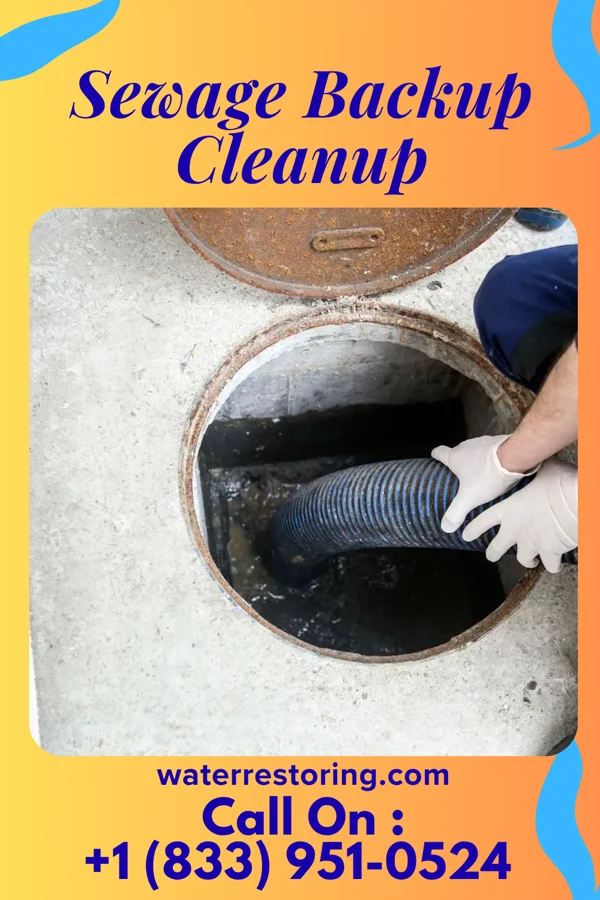 Sewage Backup Cleanup in Willard, OH