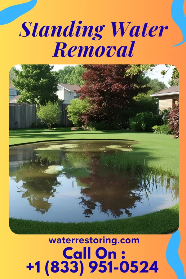 Standing Water Removal in Willard, OH